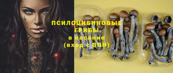 гидра Заволжск