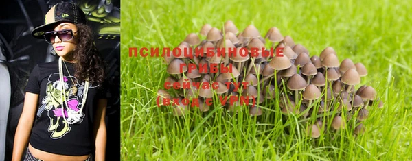MESCALINE Елизово