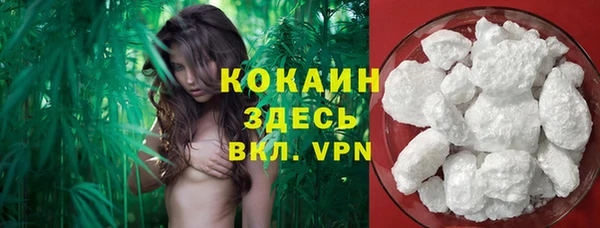 ешки Заводоуковск