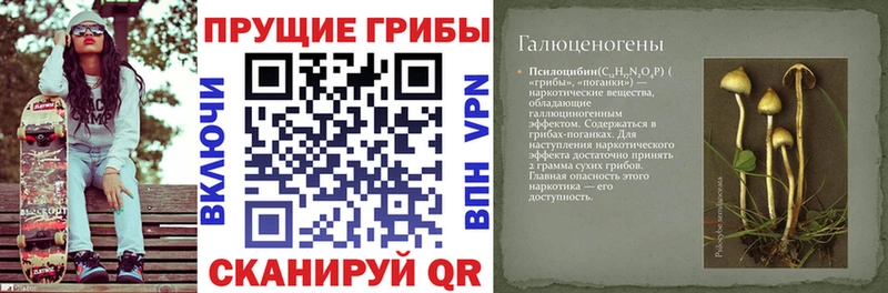 Купить где  Хабаровск  Галлюциногенные грибы прущие грибы 